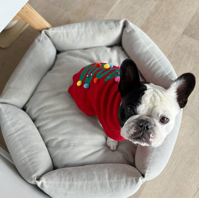 Christmas Tree Pom-Pom Sweater Clothing Dogo