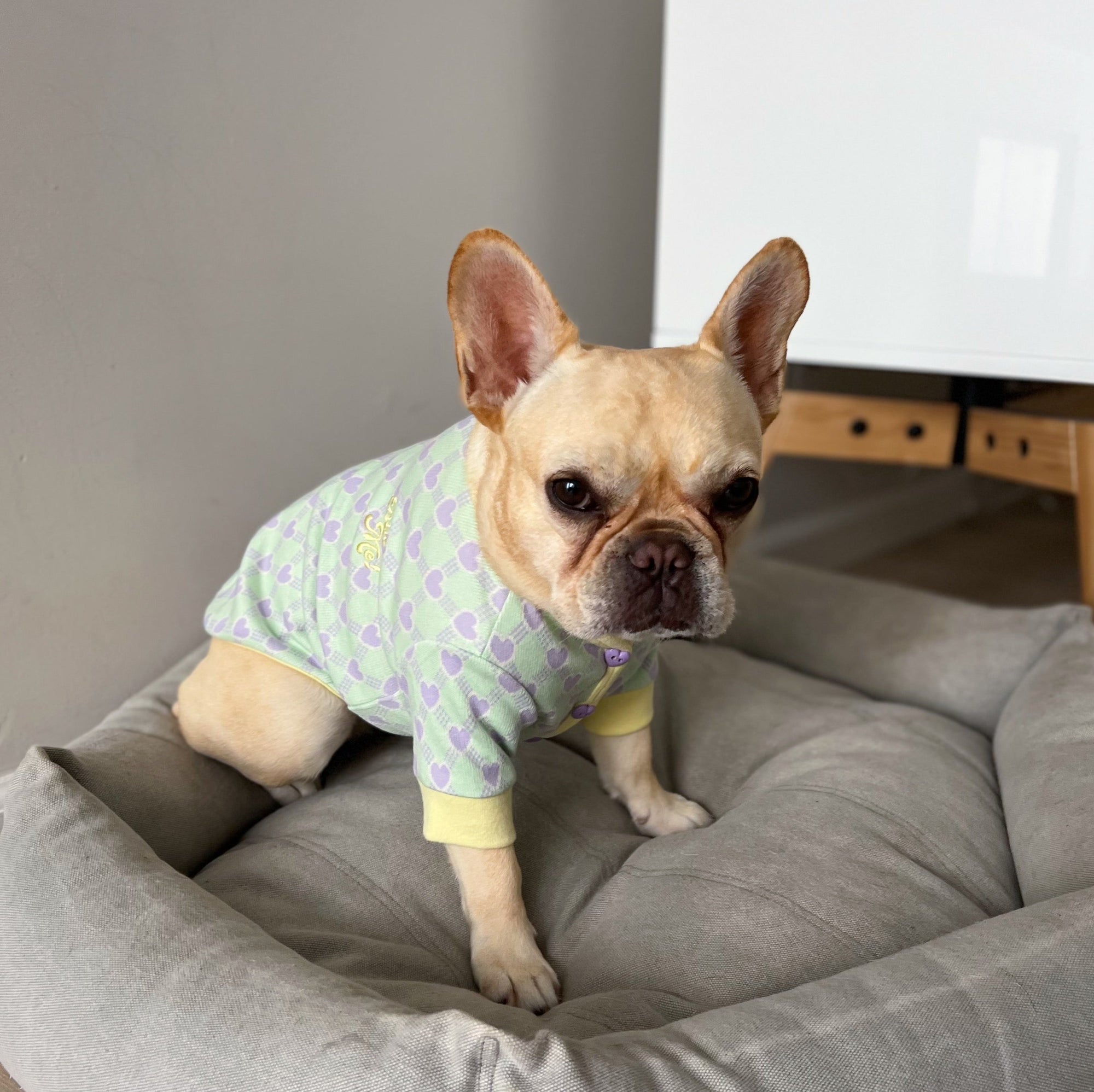 Preppy Dog Cardigan