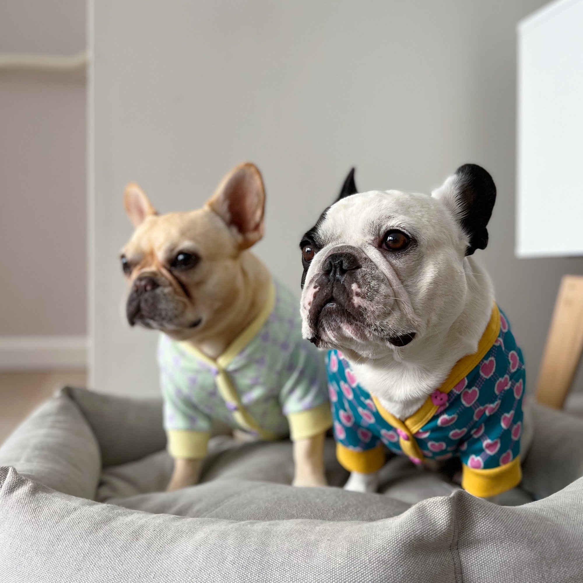 Preppy Hearts Cardigan - Mint Toy Bite Me