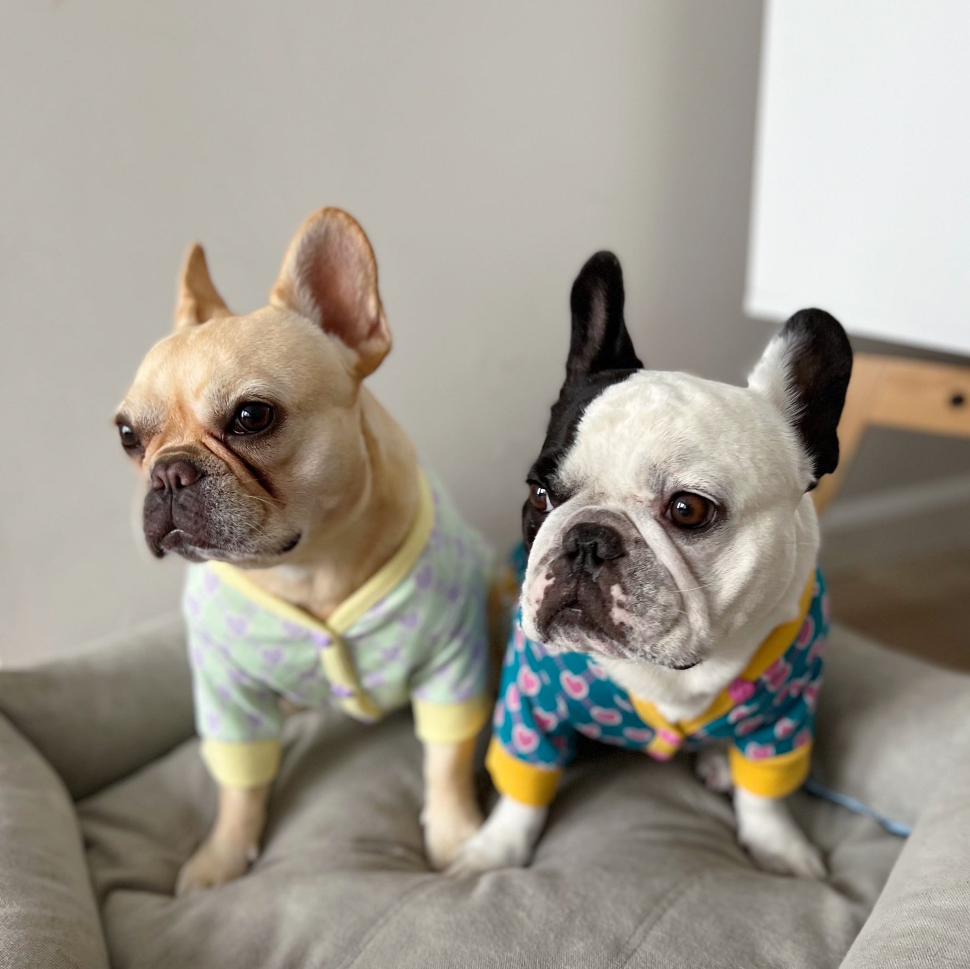 Preppy Hearts Cardigan - Mint Toy Bite Me