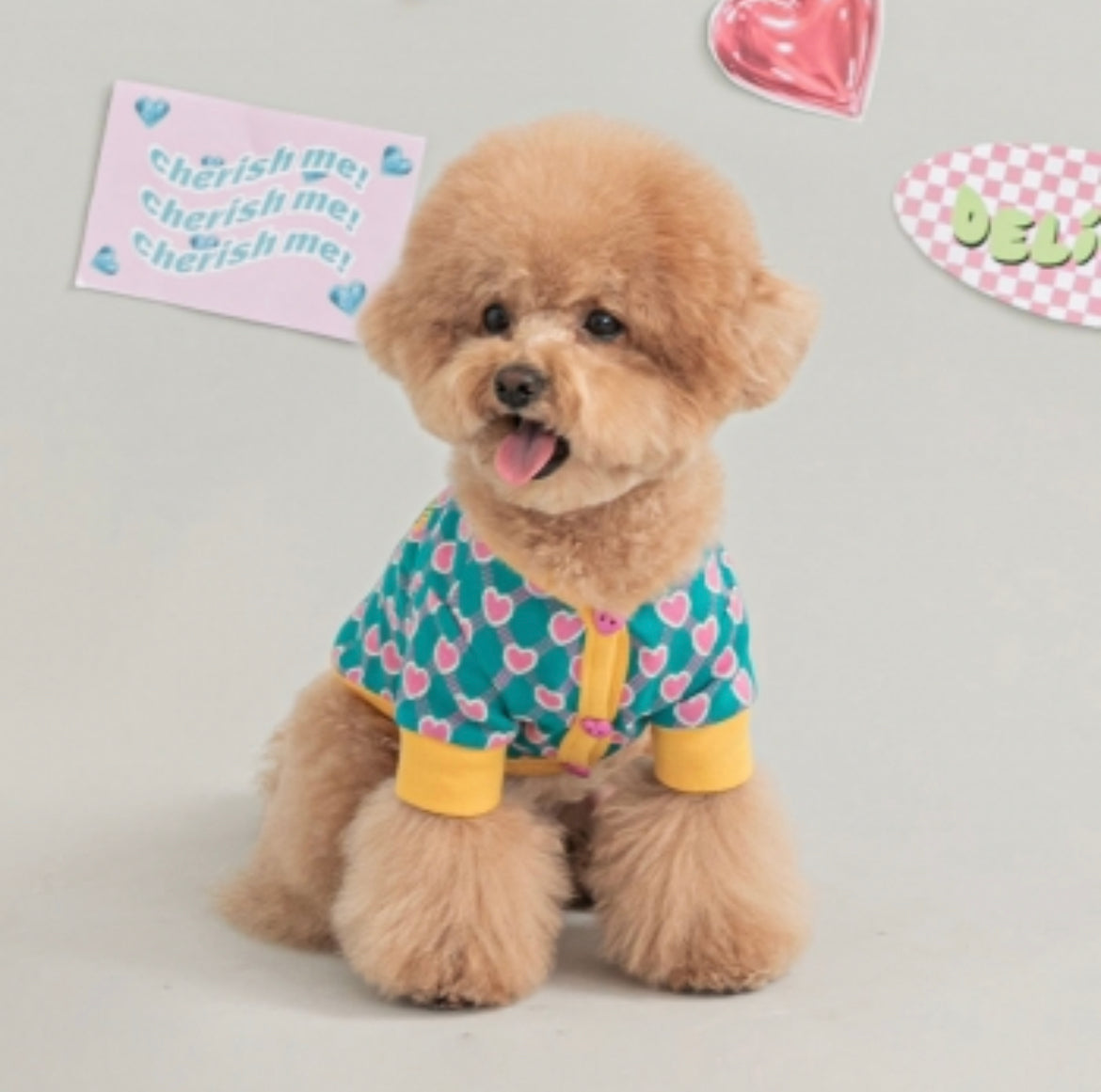 Preppy Hearts Cardigan - Peacock Green Clothing Bite Me