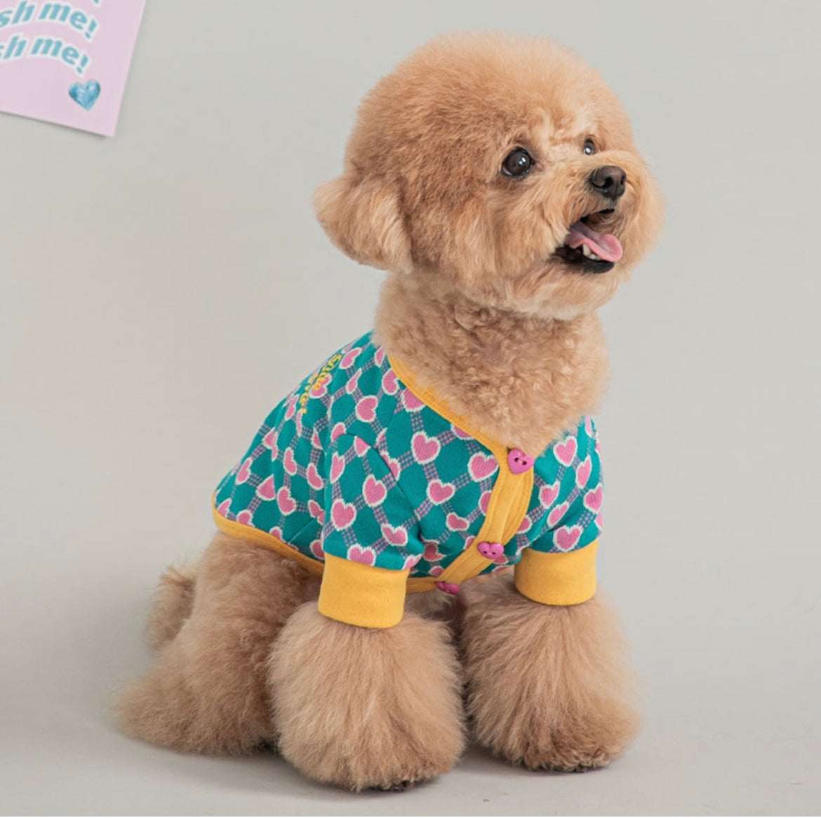Preppy Hearts Cardigan - Peacock Green