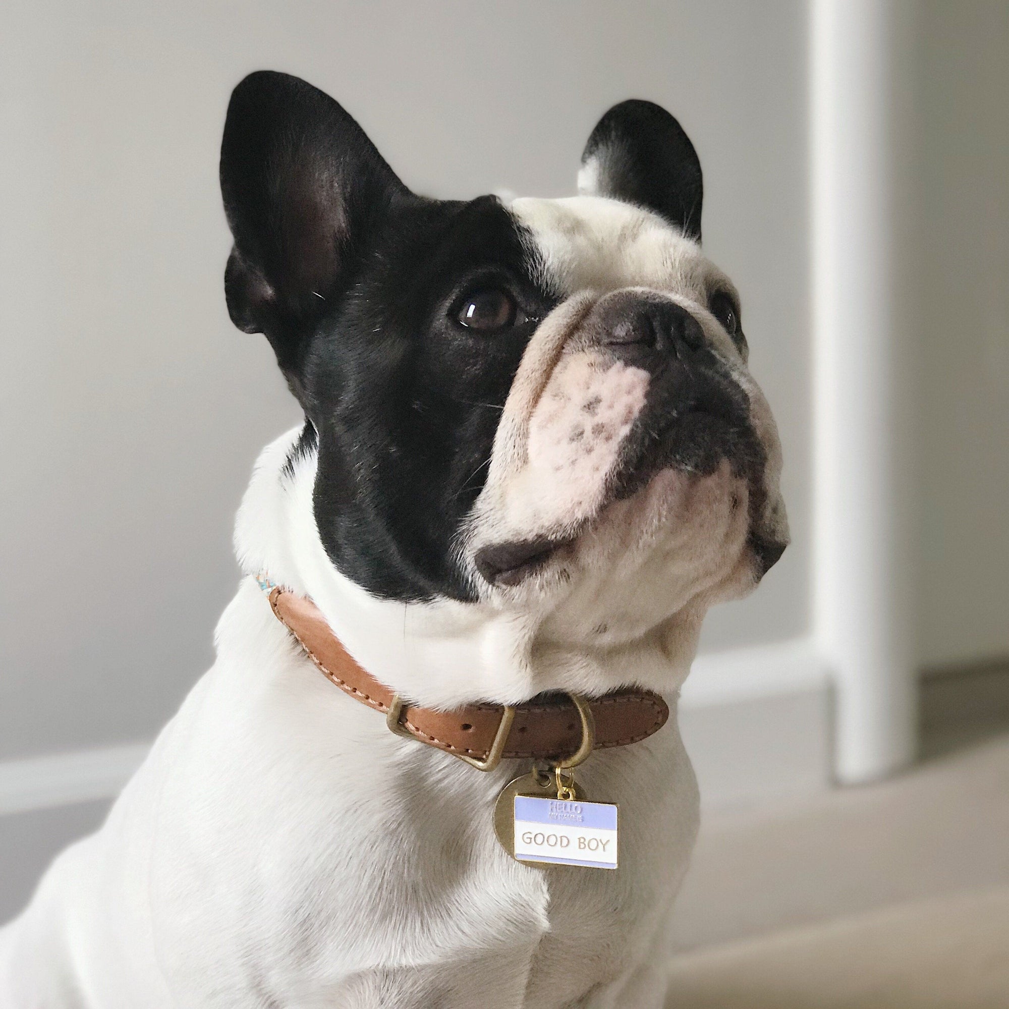 Good Boy Enamel Charm / ID Tag (Free Custom Engraving) Charms Two Tails