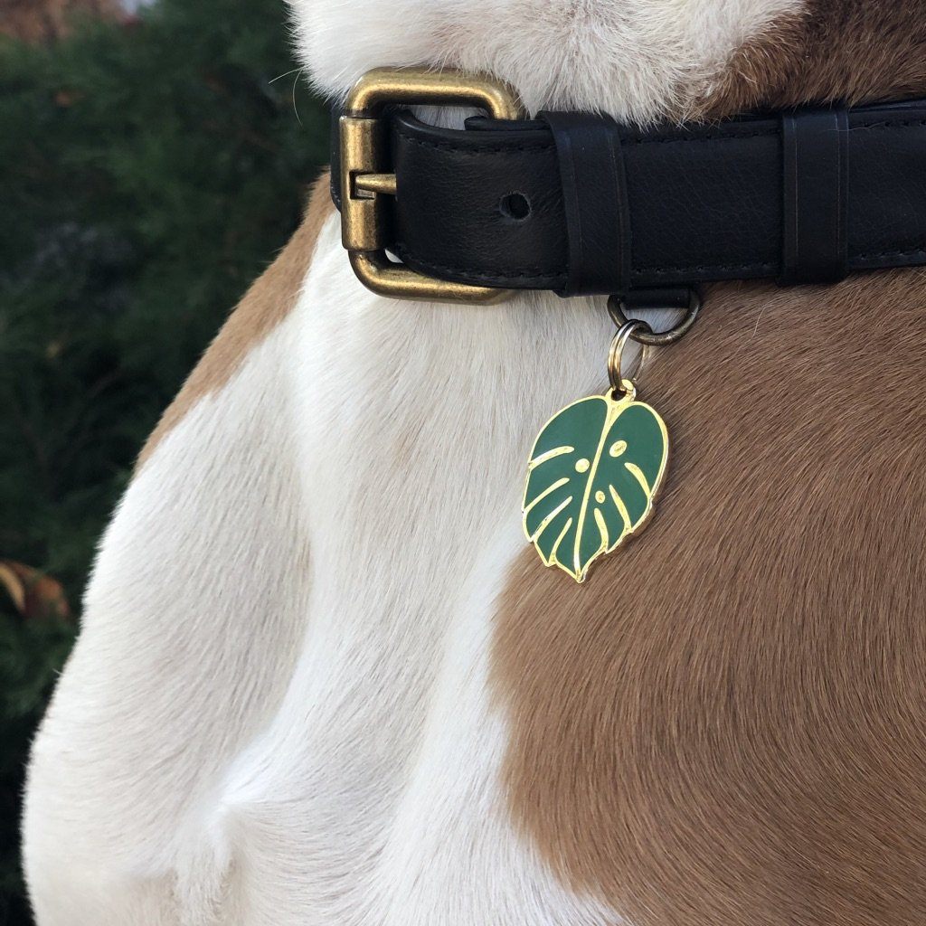 Monstera Leaf Enamel Charm / ID Tag (Free Custom Engraving) Charms Two Tails
