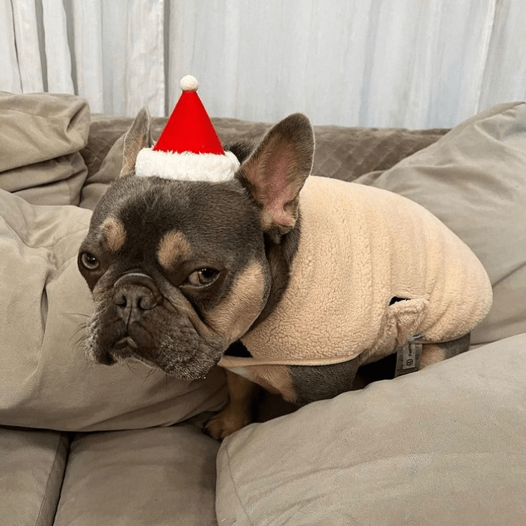 Teddy Wrap Vest - Light Beige Clothing Fuzzyard