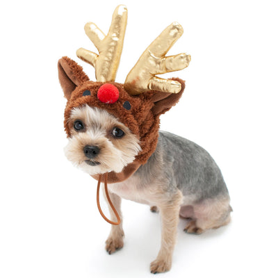 Rudolph Dog Hat Accessories Dogo