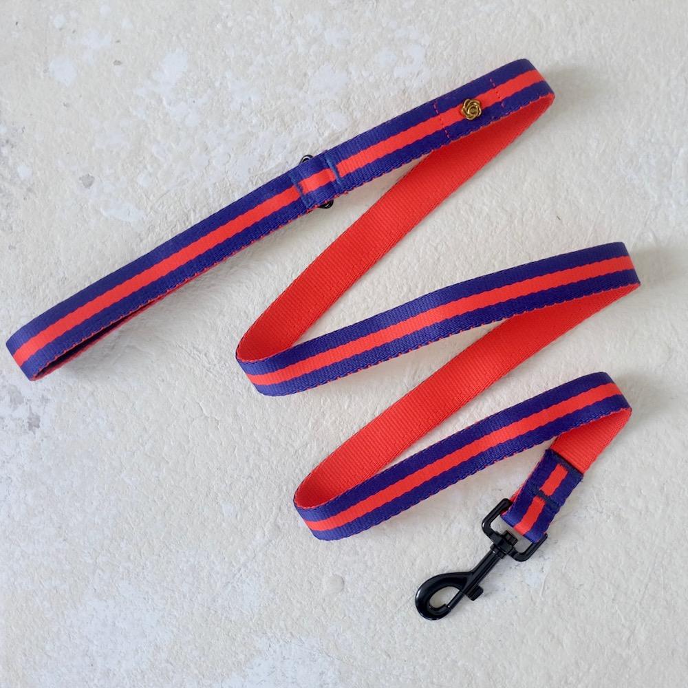 Le Classic Leash - Rue St Honore