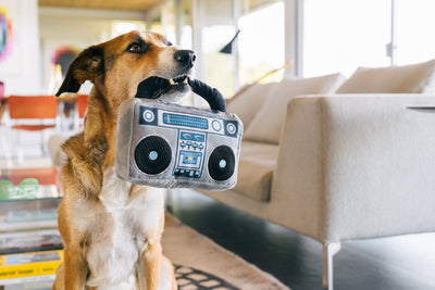 80s Classic Dog Toy - Boopbox Boombox (2 toys in 1!) Toy P.L.A.Y.