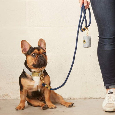Upcycled Denim Poop Bag Holder Leash Bag Leash Accessories The Foggy Dog